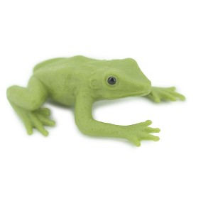 Collectible Wildlife Gifts | Green Tree Frog, Dumpy Tree Frog, Litoria caerulea, Hand Painted, Rubber Amphibian, Realistic Figure, Gift,  2 " SF52 B58 - 1 of 4