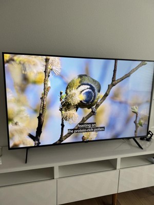 Guest review image 2 of 6, zoom in