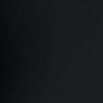 black medallion embroidery