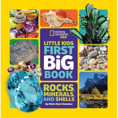 Little Kids First Big Book of Rocks, Minerals & Shells - (First Big Books) by  Moira Donohue (Hardcover)