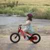 Electric off-road motorcycle for kids, 16-inch balance bike, suitable for children aged 6-12, top speed up to 15.53 mph, 3 speed settings. - 4 of 4