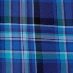 bright cobalt plaid