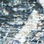 teal, gray, mustard, rust, dusty sage, light gray
