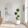 3.9FT Artificial Boxwood Topiary Tree, Spherical Faux Green Plant, Indoor/Outdoor, Easy Storage-- Frevyn - 2 of 4