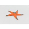 Collectible Wildlife Gifts | Starfish, Orange Sea Star, Ocean, Sea Life, Plastic Figure, Model, Realistic   Gift,     4"    F6019 B378 - 4 of 4