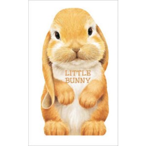 Little Bunny by Giovanni Caviezel (Board Book) - 1 of 1
