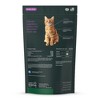 VetriScience UT Health Chews for Cats, Chicken Liver Flavor, 60 Count Bag - 3 of 3
