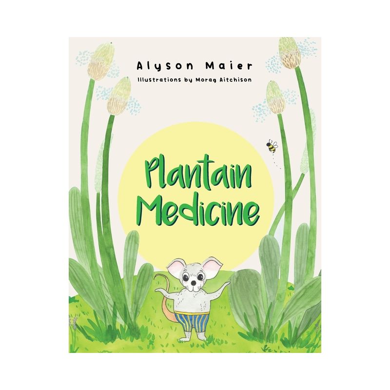 Plantain Medicine - by  Alyson Maier (Paperback), 1 of 2