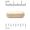 California Gold Nutrition MEM Boost™, Memory & Cognitive Support, 60 Veggie Capsules - 3 of 3