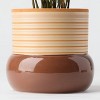Threshold Brown Live Houseplant - Good Little Garden™ - 2 of 4