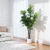 Coucheta 5/6/7ft Artificial Fiddle Leaf Fig Tree with Planter, Realistic Faux Indoor Outdoor Plant for Home Office Living Room Decor - 4 of 4
