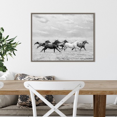 24" x 18" Black and White Horse Run Framed Canvas Print