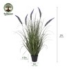 Artificial Foxtail Onion Grass Potted Plant - Purple & Green Faux Flowering Spikes - Fake Farmhouse Ornamental Greenery for Modern Home Decor - 2 of 4
