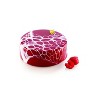 Silikomart "KALIPSO 450" Flexible Baking & Freezing Mold, 15.21 Oz. - 2 of 2