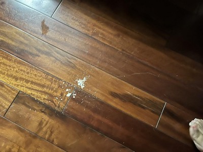 Guest review image 1 of 2, zoom in