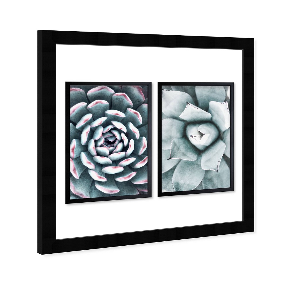 Photos - Other interior and decor 13" x 19" Muted Succulent Set Framed Wall Art Green - Wynwood Studio