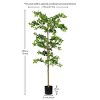 SKRAN Artificial Topiary Trees, Domestic Tung Tree, Ground Flower Decoration, Office Decoration, Artificial Green Plant,for Home,Office,Patio - 3 of 4