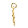 Black Bow Jewelry 14k Yellow Gold Leo the Lion Zodiac Satin and Diamond Cut Charm - 2 of 4