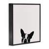 Stupell Industries Dog Peeking From Below, 12" x 12" - 3 of 4