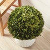 Plum & Post Boxwood Ball Faux (Fake) 16" - 3 of 4