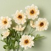 25" Faux Cream Daisy Flower Stem - Hearth & Hand™ with Magnolia - 3 of 3