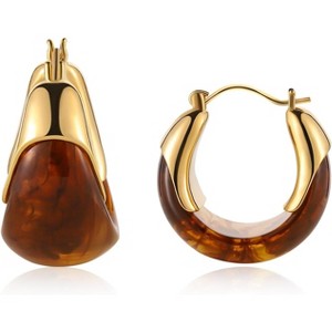 14k Gold Plated Amber Resin Hoop Earrings for Women Trendy Chunky Gold Earrings | Hypoallergenic Jewelry Gifts for Sensitive Ears - 1 of 4