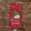 Park Designs Farmhouse Snowman No Man Decorative Dishtowel Set of 2 - 2 of 3