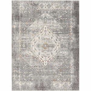 Hauteloom Boli Distressed Area Rug - 1 of 4