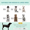 Gulches Velvet Large Dog Couch with Foam Cushion, Soft and Cute Dog Bed with Pearl Design, Dog Sofa for Big and Medium Dogs, Green - 4 of 4