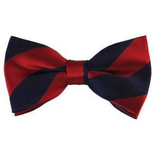 Men's 2.75 W And 4.75 L Inch With Pre-Tied College Stripe Bowtie - 1 of 3