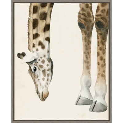 16" x 20" At Your Feet II Giraffe by Grace Popp Framed Wall Canvas - Amanti Art