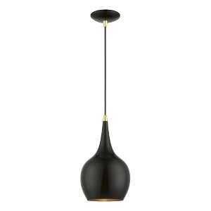 Livex Lighting Andes 1 - Light Pendant in  Shiny Black/Polished Brass - 1 of 3