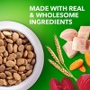 IAMS Proactive Healthy Weight Control Chicken Adult Large Breed Dry Dog Food - 29.1lbs - 3 of 4