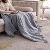 AZL1 Life Concept Throw Blankets, 2-Pack Striped Textured Throws with Tassel Accents for Modern and Farmhouse Decor, Gray, 60"*50"*0.3" - 2 of 4