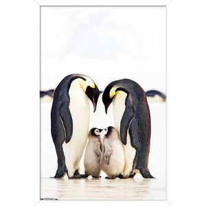 Trends International A Group Of Emperor Penguins Framed Wall Poster Prints - 1 of 4