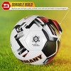 Vizari Mini National Team Soccer Balls - 3 of 4