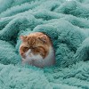 Bedsure | PV Fleece Blanket  a Chic Addition with Brushed Longfur - 2 of 4