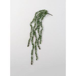Sullivans Artificial Hanging Succulent Stem 39"H Green - 1 of 1
