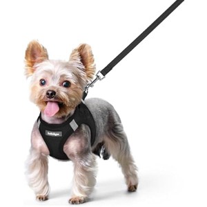 rabbitgoo Dog Harness Small Sized and Leash Set, Step in Soft Light Puppy Pet Harness, Reflective for Safe Easy Walking, Black XS - 1 of 1