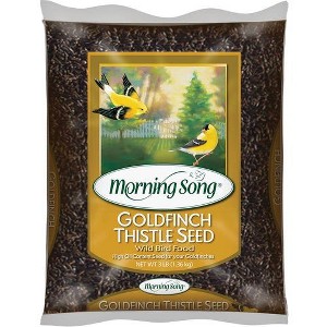 Morning Song 3 Lb. Nyjer Seed Wild Goldfinch Food - 1 of 1
