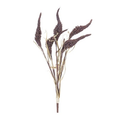Melrose Seeded Harvest Bush (Set of 12)