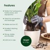 Geolite GMGC45L Gardening PH Neutral Draining Clay Pebbles for Hydroponics, Aquaponics, Indoor Gardening, and Hydroculture, 45 Pound Bag, Gray - 3 of 4