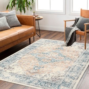 Vintage Printed Non Slip Area Rug Distressed Washable Soft Low Pile Indoor Non Shedding Accent Carpet for Living Room Bedroom - 1 of 4