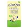 Waterboy Daily Hydration, Electrolyte Drink Mix, Cucumber Citrus, 12 Stick Packs, 0.12 oz (3.3 g) Each - 4 of 4