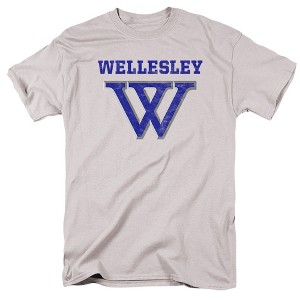 Men's Wellesley College Official Distressed Primary Logo T-Shirt - 1 of 4