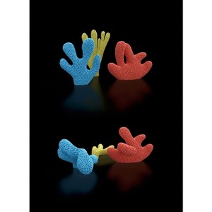 Claudia Comte: After Nature - (Paperback) - 1 of 1