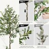 6ft Tall Faux Olive Tree with Natural Wood Trunk and Lifelike Fruits Artificial Olive Plant with Black Pot and Moss for Home Office Decor - 3 of 4