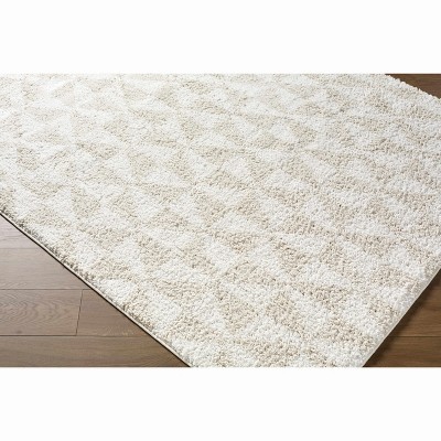 Hauteloom Ceylan Living Room, Bedroom Area Rug - Contemporary - Plush Pile
