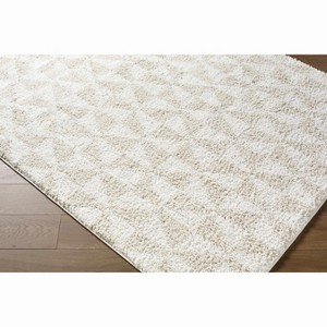 Hauteloom Ceylan Living Room, Bedroom Area Rug - Contemporary - Plush Pile - 1 of 4