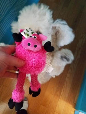 Guest review image 2 of 4, zoom in